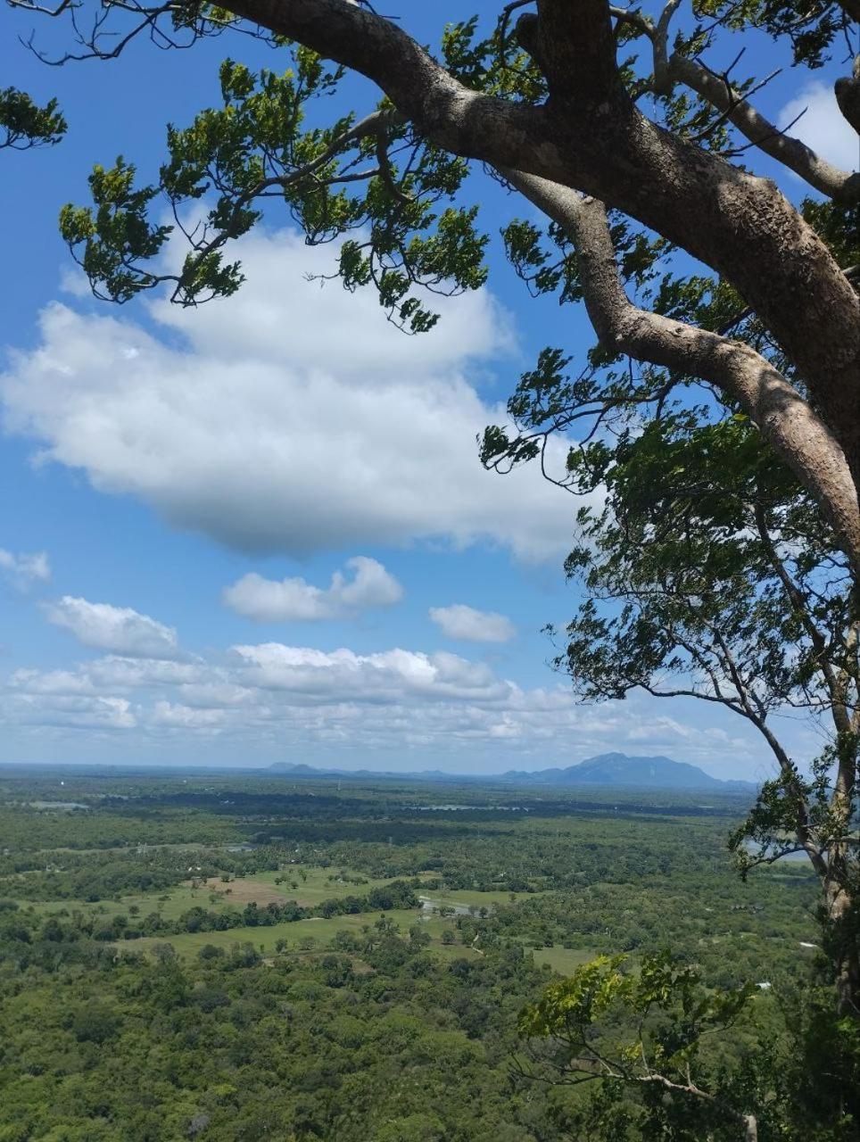 Sigiri Thilanka Rest Sigiriya 호텔 외부 사진